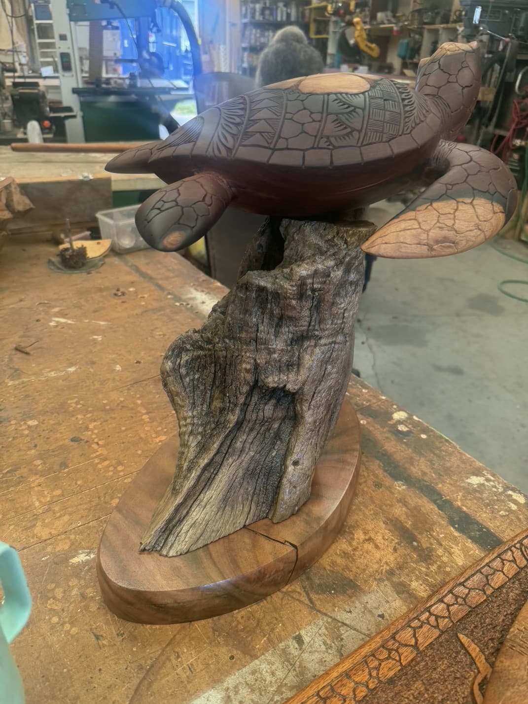 Honu on driftwood